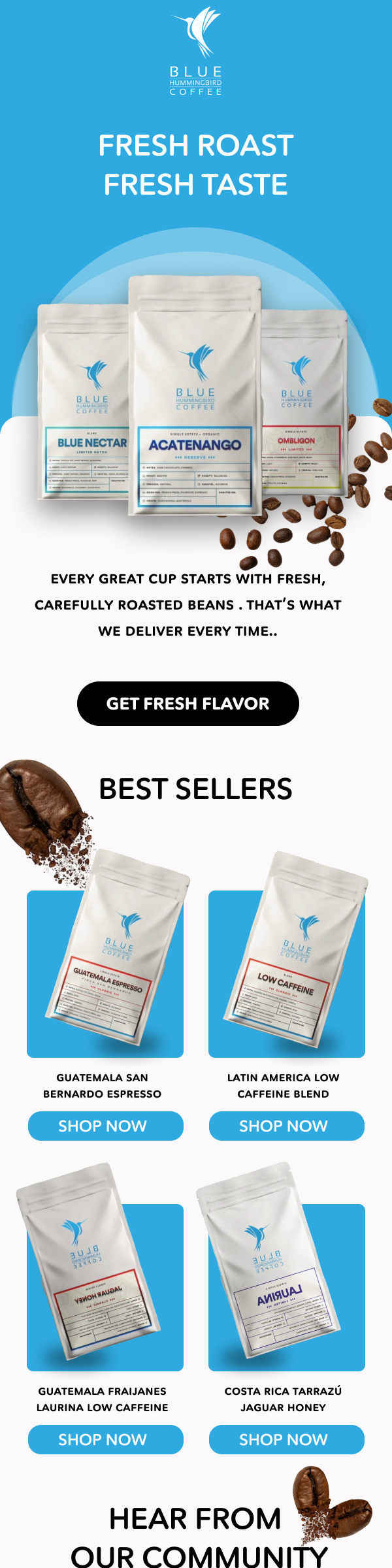 Blue Hummingbird Coffee