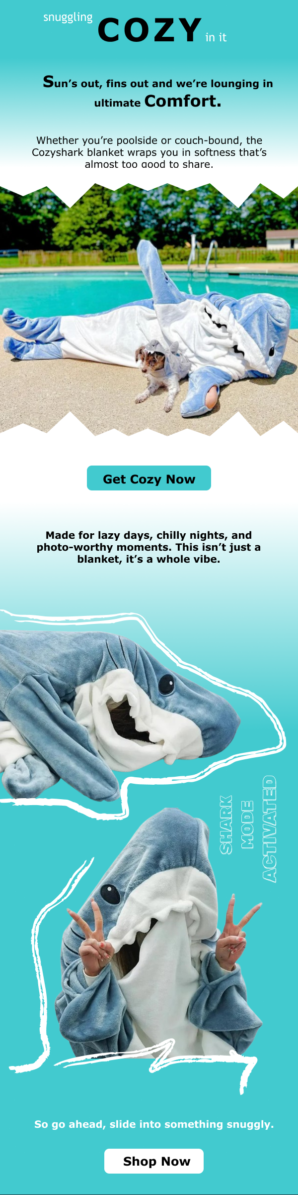 Cozyshark